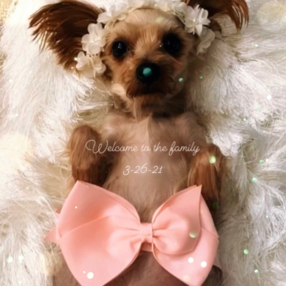 THANK YOU FOR YOUR SUPPORT 💕